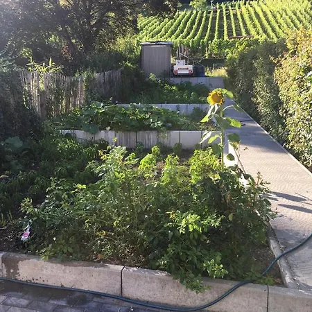 Weiherhausstrasse 6 公寓 Herten (Baden-Wurttemberg)