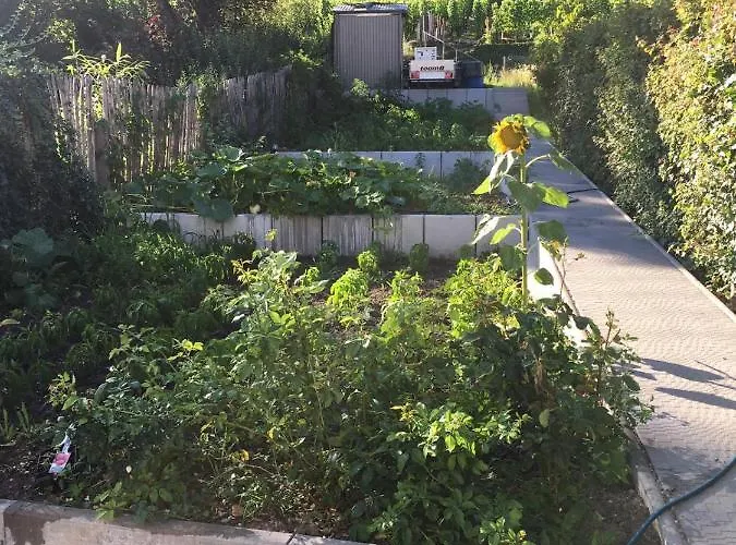 Weiherhausstrasse 6 公寓 Herten (Baden-Wurttemberg)