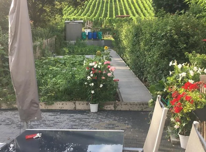 Weiherhausstrasse 6 公寓